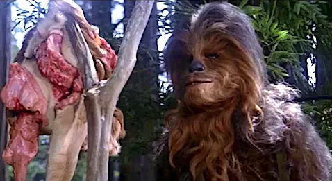 `A chaque territoire ses appâts