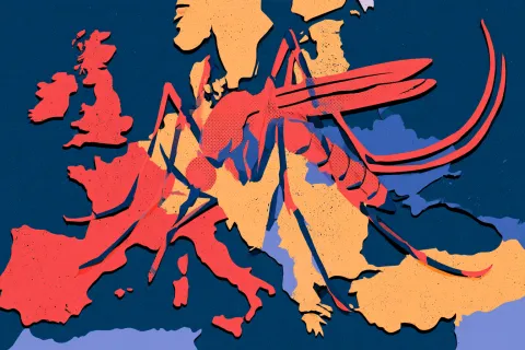 Le West Nile fait deux morts en Belgique et continue sa progression en France