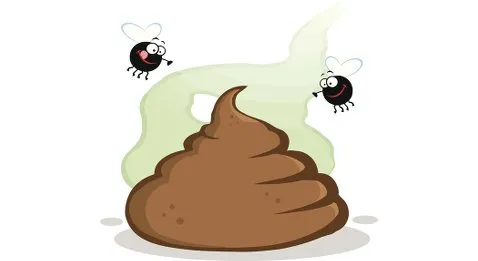 On a écouté Clinton et Trump parler santé