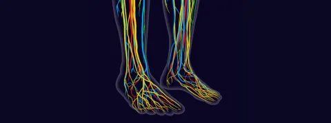 Tout savoir sur l'Amylose hATTR