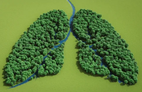 Un collectif d'acteurs de santé pour  accompagner la Cop26