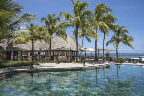 A l’ombre des tropiques 