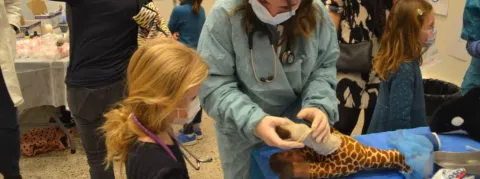 Soigner les doudous, pour anéantir la peur du médecin par les enfants