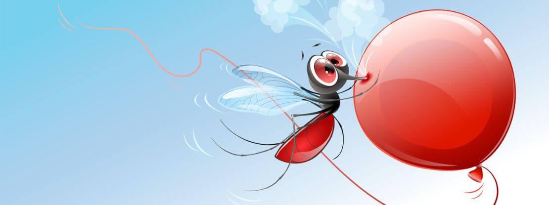 Bulletin épidémiologique du vendredi : une semaine de dengue !