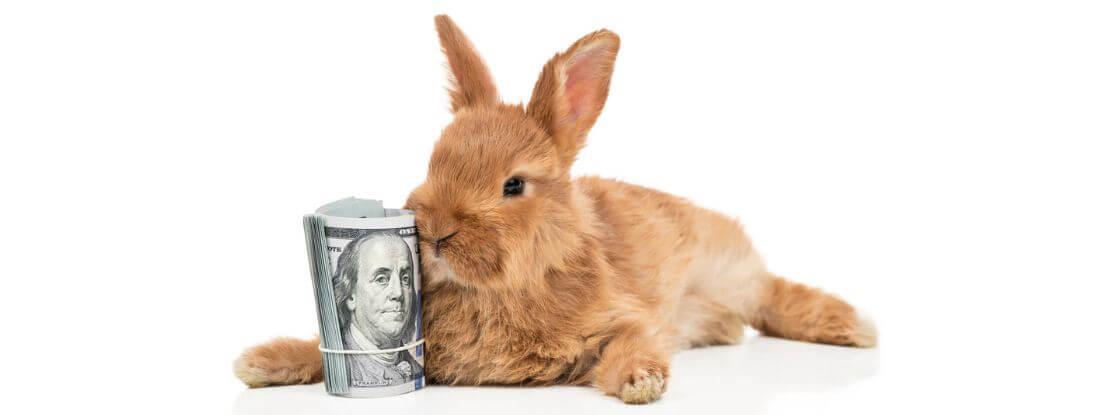 Les sénateurs veulent faire payer les lapins, en déduisant la somme sur les remboursements ultérieurs