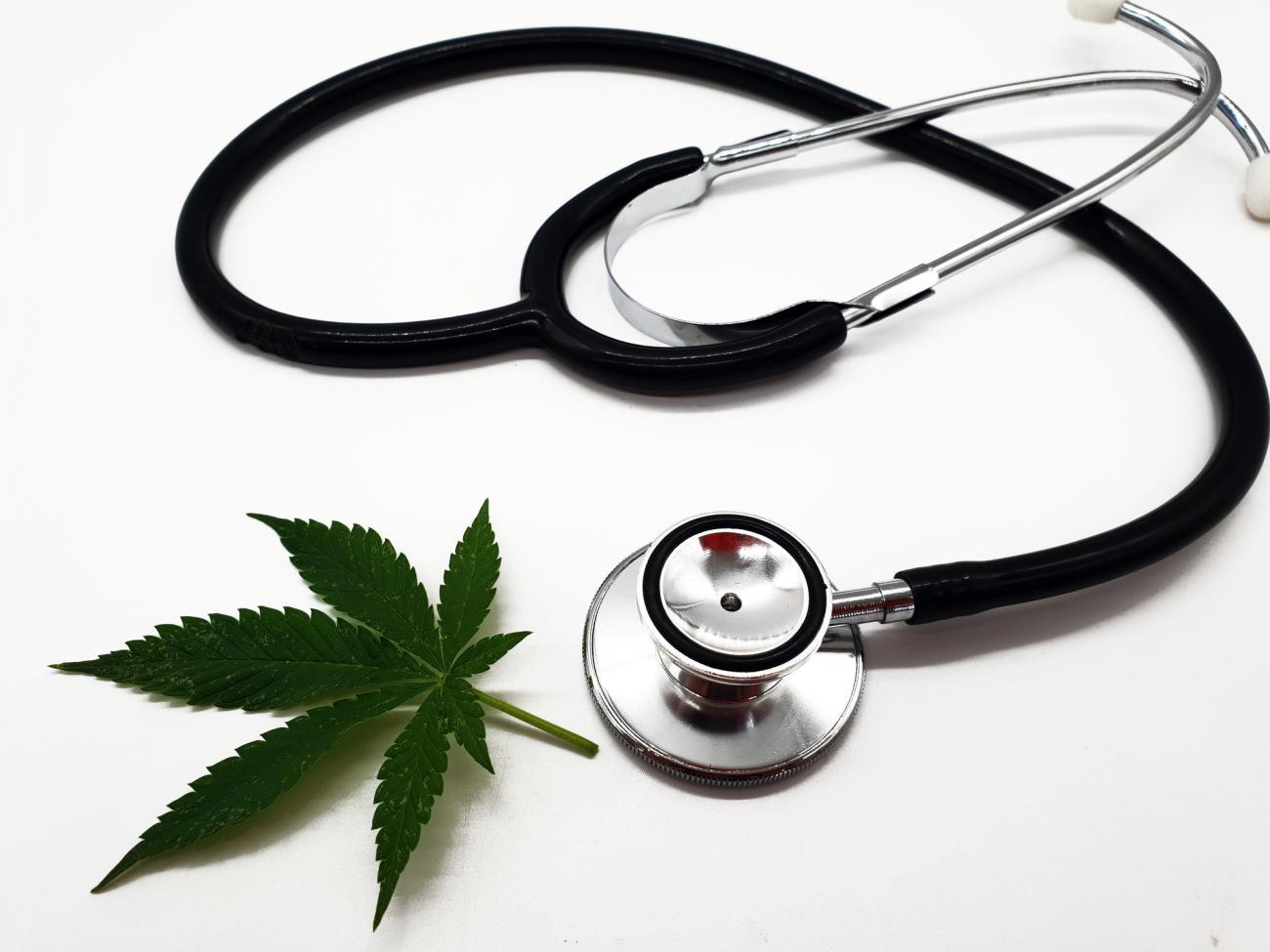 Cannabis thérapeutique : fumer n’est pas soigner