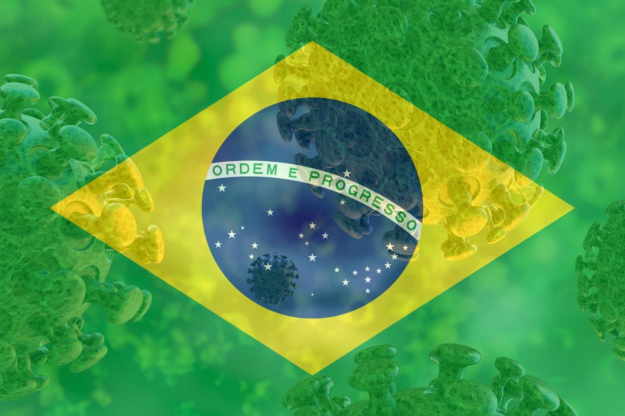 Un nouveau virus fait trembler le Brésil