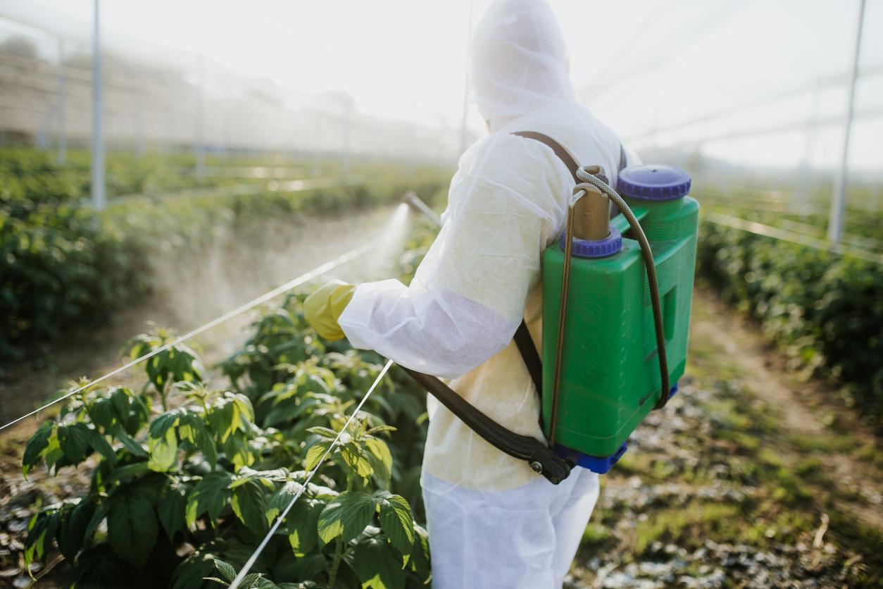 Pesticides et maladies professionnelles : la reconnaissance avance