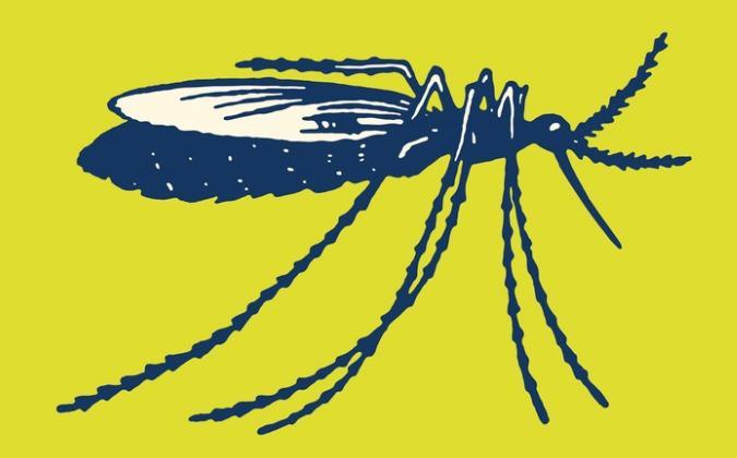 Dengue : un premier mort en Martinique
