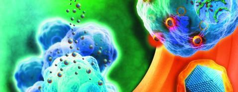Nanobiotix, acteur mondial de la nanomédecine