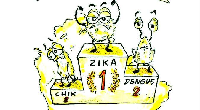 Zika : le petit dernier turbulent  de la famille arbovirus