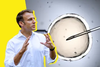 Plan infertilité.png