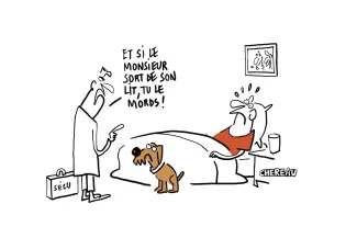 Le dessin du contrôle qui montre les dents