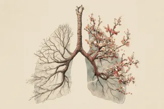 vaccins tuberculose (1).png